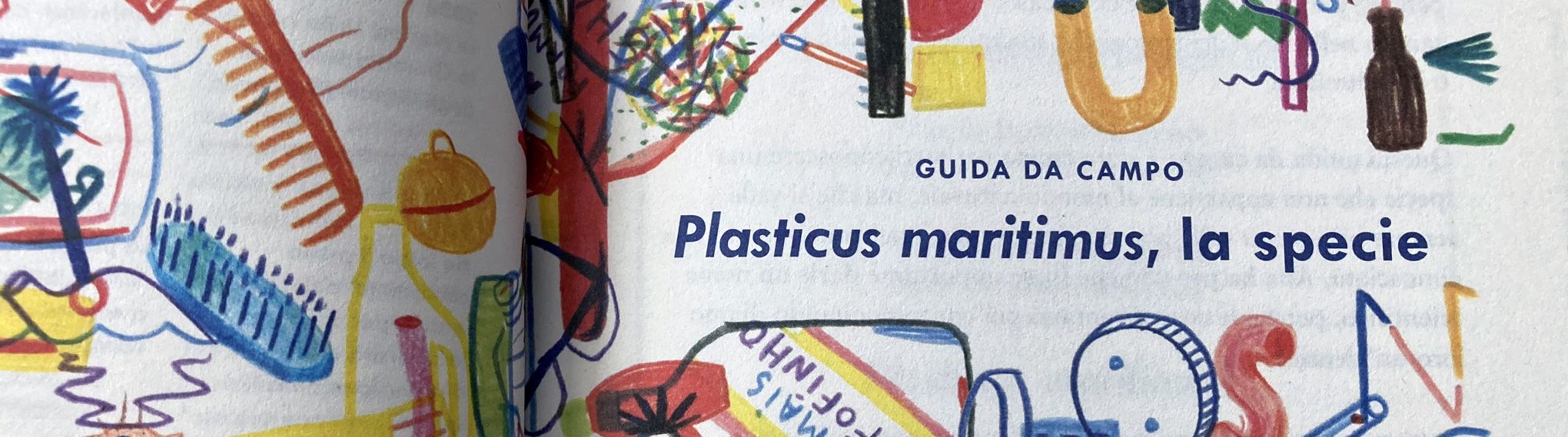 Plasticus Maritimus - Detalle